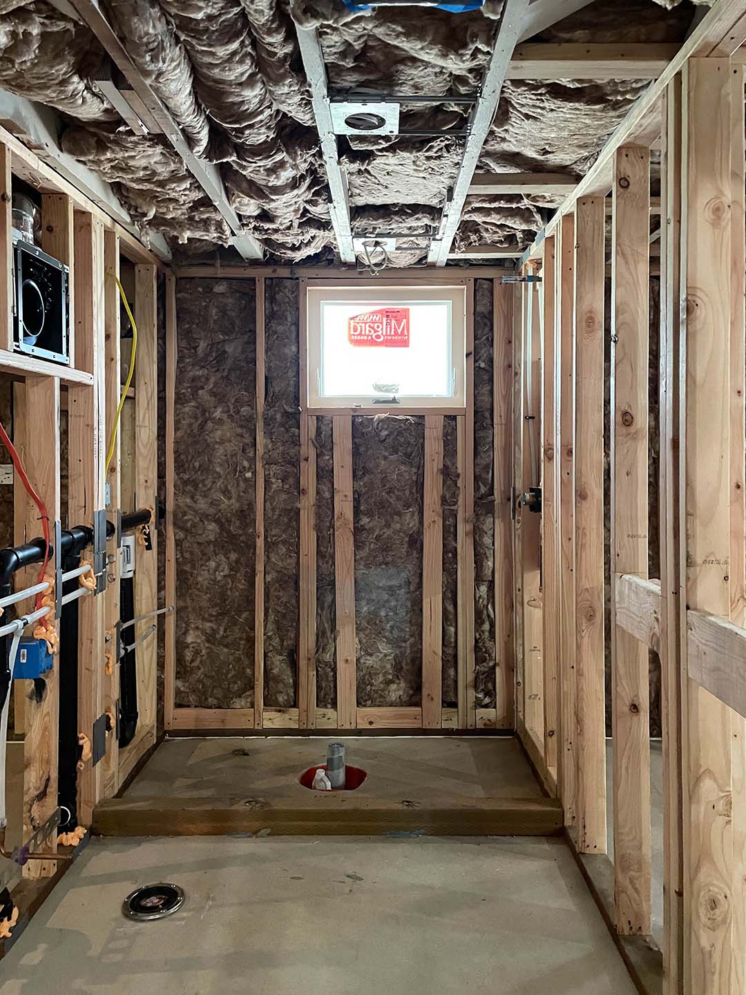 Seward Park Basement Remodel